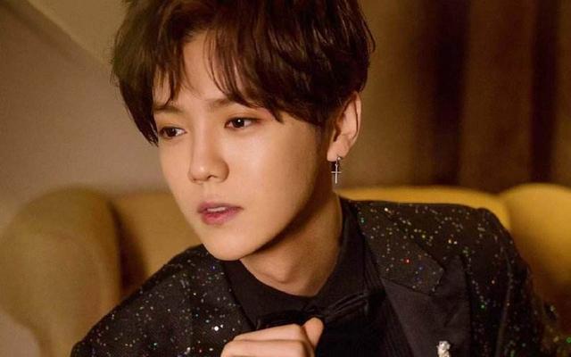 王一博和杨紫最新采访，娱一语：杨紫