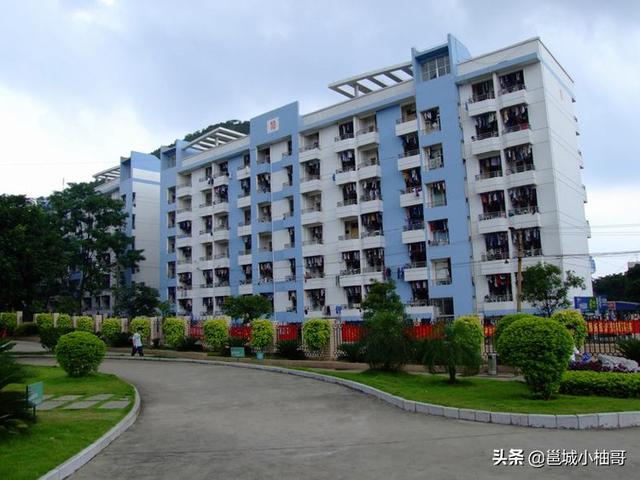 柳州工学院是几本，柳州工学院是985大学还是211大学（柳州市计划改变高等教育薄弱的现状）