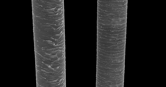 小妙招让头发立刻柔顺不干枯，怎样保养头发又黑又顺（洗头时注意这2点）