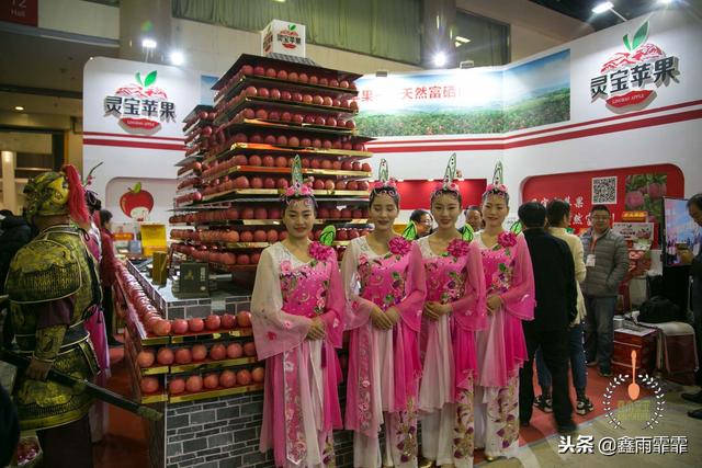 菊苣怎么读是什么意思，菊苣怎么读（这百种水果不要说吃过）