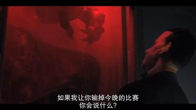 关于狐狸的国产动画，关于狐狸的国产动画有哪些（从《哪吒之魔童降世》到《白蛇2）