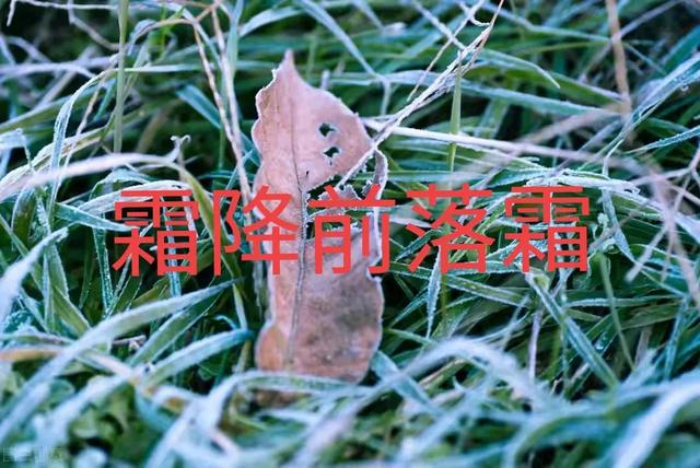 霜降是不是就开始下霜了 霜降下霜有什么说法了，霜降是不是就开始下霜了（九月十八日霜降）