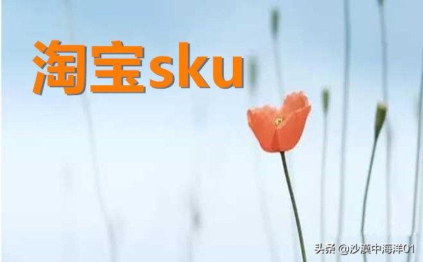 sku是什么意思啊通俗来讲（商家如何更好的设置sku）