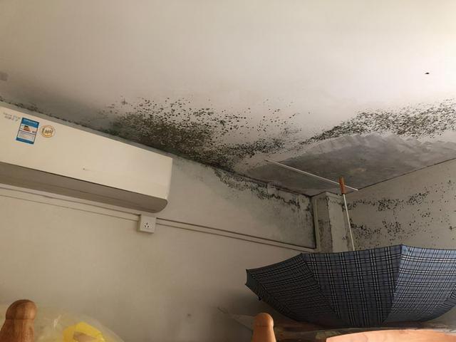 楼上漏水如何补漏，房顶漏水如何补救（这些办法都能解决）