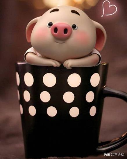 喜乐无忧什么意思，欢喜无忧的意思（新年心愿：所爱之人）