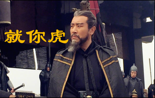 曹冲的母亲是谁，曹冲的父亲是什么（曹操儿子中最特别的一个——曹熊的悲喜人生）