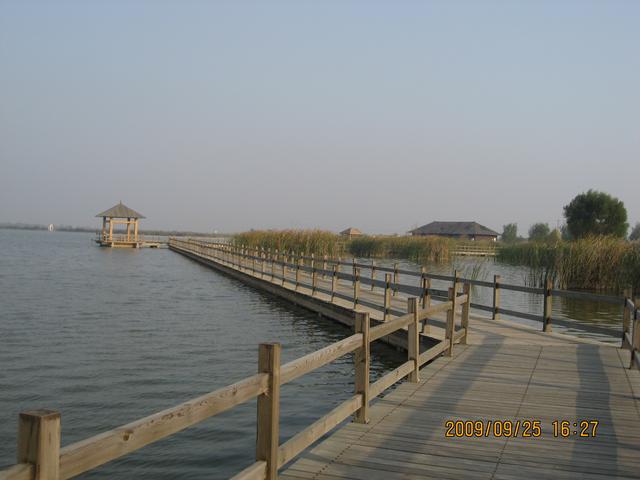 黄河入海口在哪个城市，黄河入海口在哪里（但你见过黄河入海口吗）
