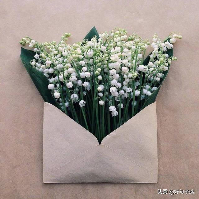 写给自己的一段话，写给以后的自己一段话（写给自己最暖心的句子）