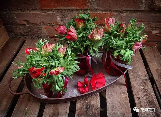 安卓instagram怎么注册，安卓怎么注册ins（一个强大的移动花艺学习平台）