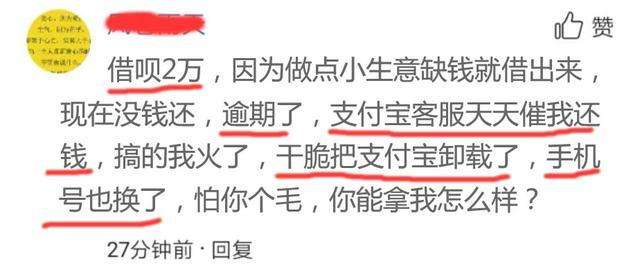 什么是花呗(为什么要还花呗)