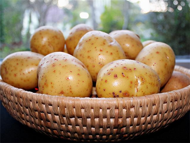 土豆有几种吃法，土豆的小吃做法大全（分享土豆的8种做法）