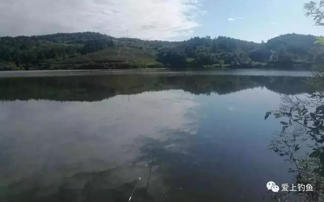 成都周边地区可以野钓的地方,四川周边、成都近郊多个小水库渔情汇总 成都周边地区可以野钓的地方,四川周边、成都近郊多个小水库渔情汇总