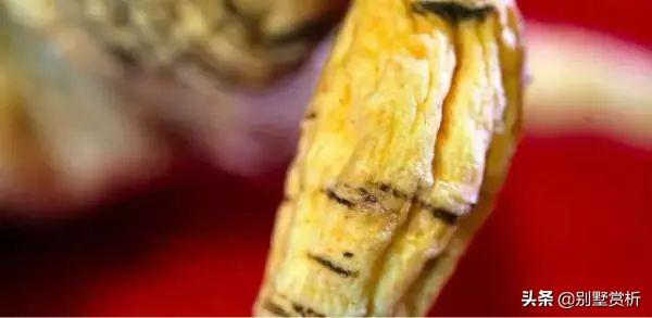 山参多少钱一支，野山参价格多少钱一根（人参几元一支和几万一支的差别）