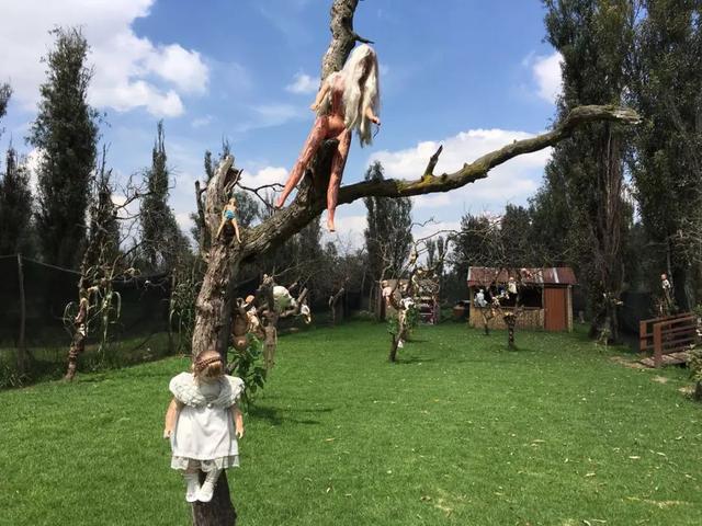 墨西哥娃娃岛的基本资料，墨西哥有个娃娃岛，你敢来吗