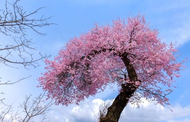 汶川海拔多少米，四川汶川县海拔多少米（什么是汶川）