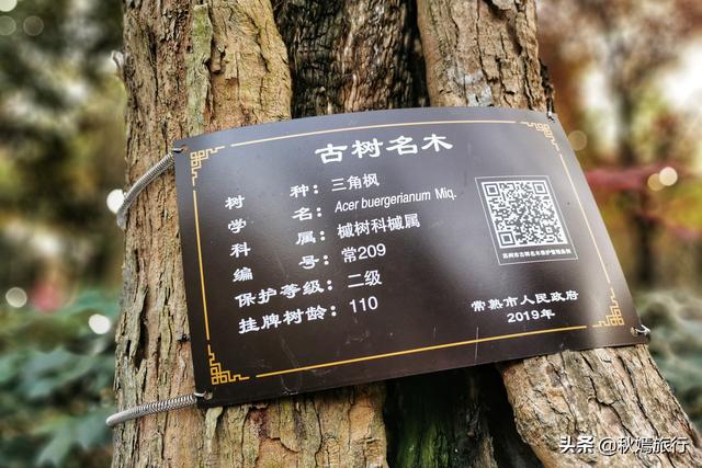 常熟虞山风景区是哪的，常熟市中心这座免费公园