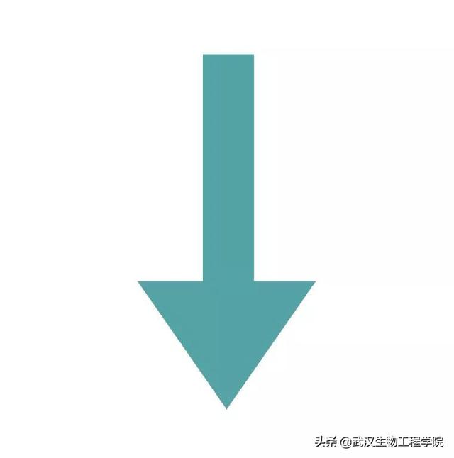 武汉生物工程学院专科，武汉生物工程学院是几本学校（我校湖北省投档线火热出炉）