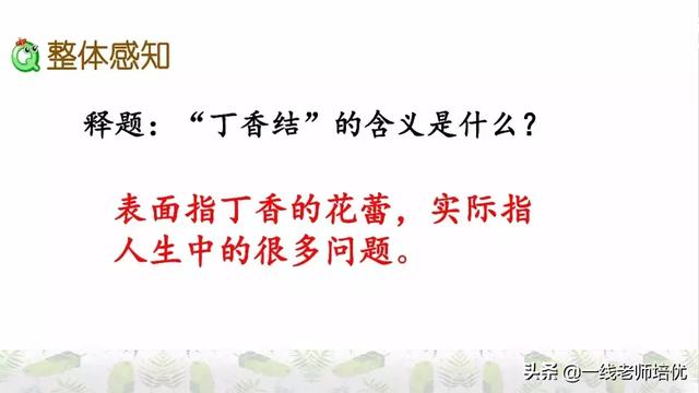 平淡无味的意思，清淡无味的意思（部编版六年级上册第2课《丁香结》重点知识点+图文解读）