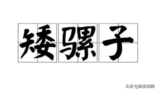 矮骡子什么意思，矮骡子（矮骡子由来（愿我热爱的是你喜欢的）