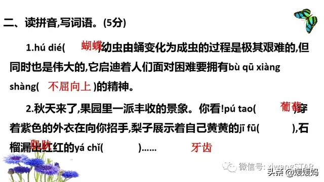 惊呼的近义词，部编版四年级语文上册期末知识点汇总附模拟卷及答案