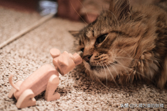 得了艾滋一辈子完了吗，感染艾滋病的一生就完了（多注意这些小细节）