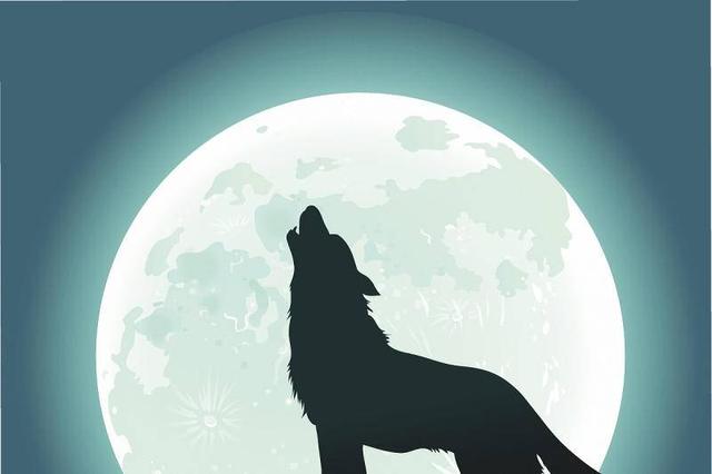 呼伦贝尔是哪个省，呼伦贝尔属于哪个省（中国哪些地方有狼）