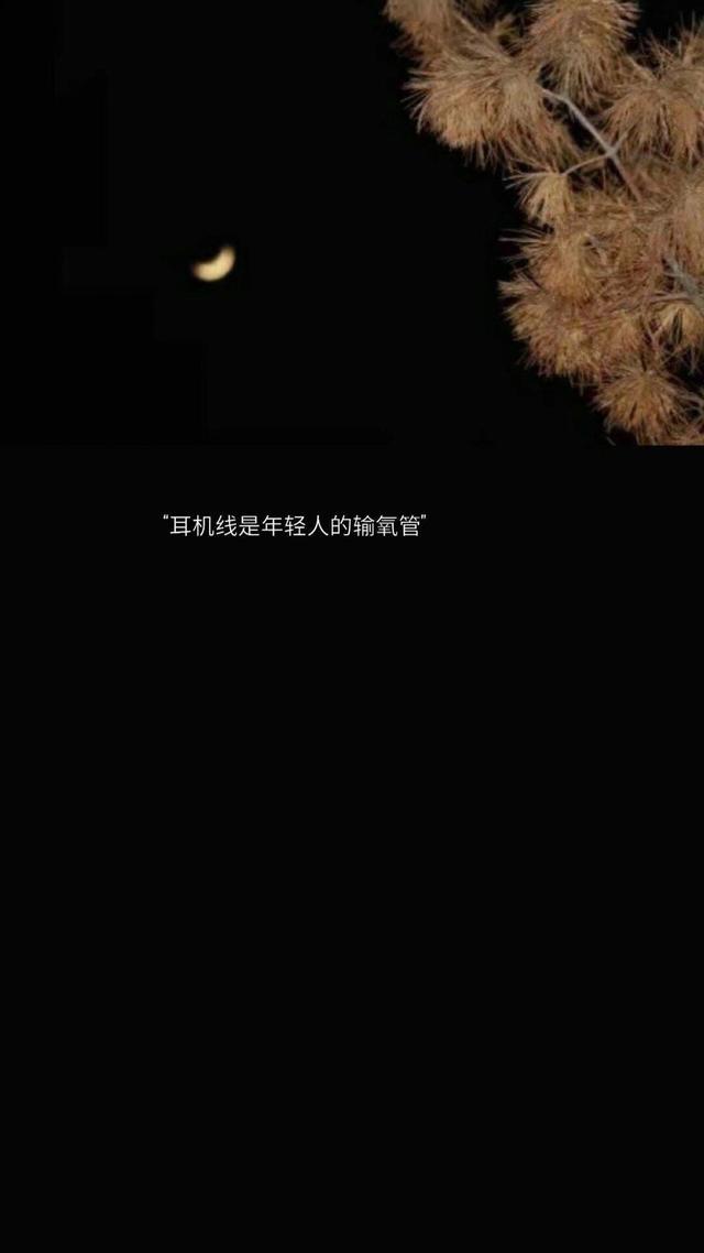 黑底背景图 ：），没事就早点睡觉