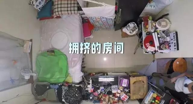 朱芊佩为什么做搬运工，“最美搬运工”后来怎么样了