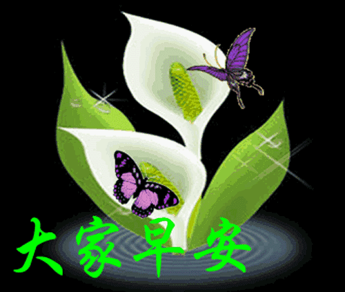 早安一句话唯美句子，早安心语每日一语（新的一天早安祝福语精美语句）