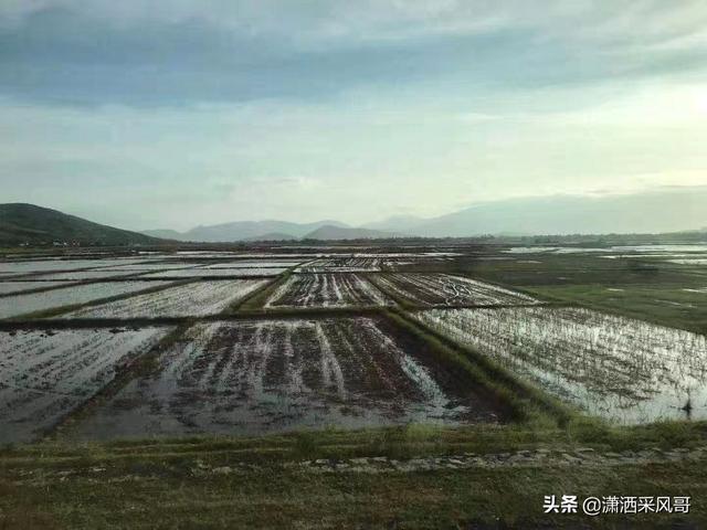 2021年立冬后天坑方位在哪里 2021年立冬后犯天坑方带貔貅化解不顺，2021年立冬后天坑方位在哪里（悔青肠子的越南芽庄之行）