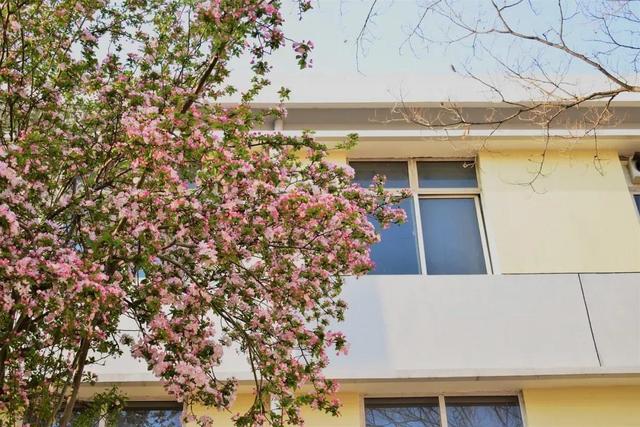 天津农学院是几本，天津农业学院是几本的（天津市普通高等院校）