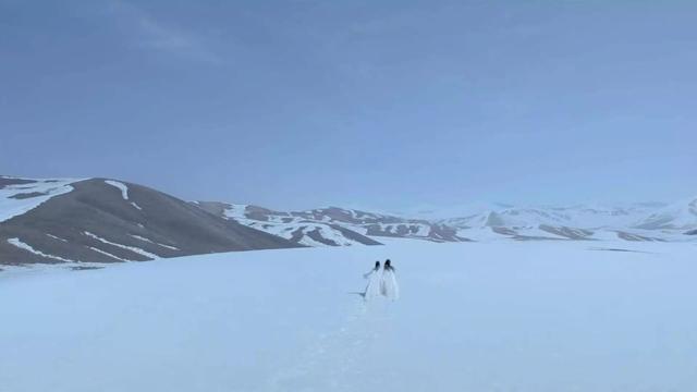 将夜2各演员的角色，《将夜2》归来