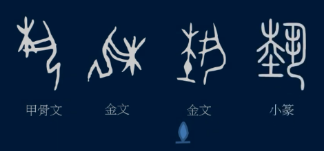 6 草字頭和竹字頭「草」和「竹」兩個字的小篆是這樣的,都是象形字.