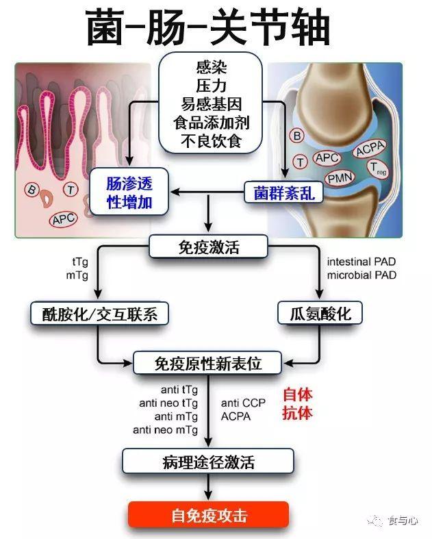 sfb是什么意思，sfnb是什么意思（你必须知道的热知识<二>）