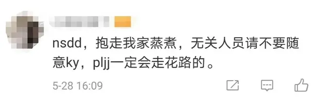 饭圈是什么意思，饭圈sj是什么意思（“饭圈用语扫盲”：不懂这些）