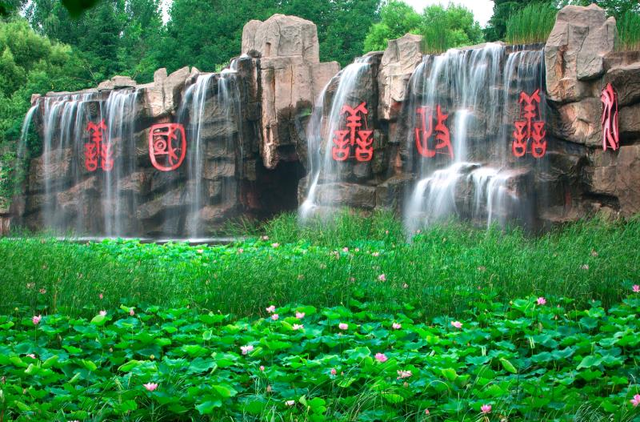 微山湖有哪些景区值得去玩，微山湖哪个景区最值得去（坐拥130000亩荷塘）