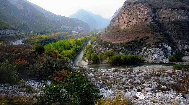 大同灵丘十大景点，灵丘——山水特色城镇