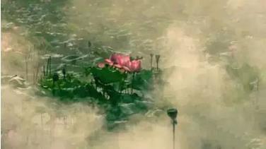 沈从文简介及作品，沈从文的主要作品（走进沈从文）