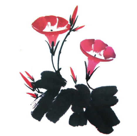 画仙人掌注意什么，画仙人掌步骤（仙人掌、牵牛花的基础画法）