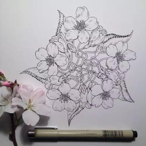 怎样用中性笔画玫瑰花好看，中性笔画花卉图片（一篇用针管笔画的植物花卉）