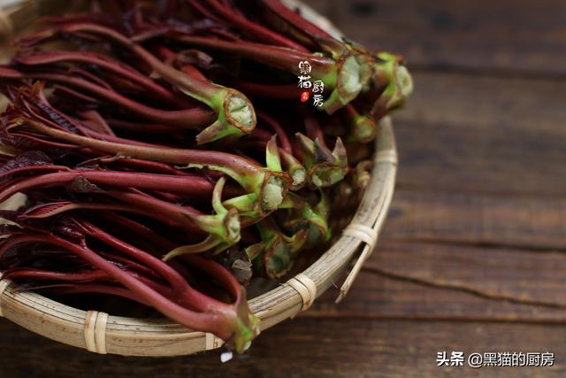 香椿叶子老了能吃吗，老香椿叶的腌制方法（85岁奶奶教我保留香椿的做法）