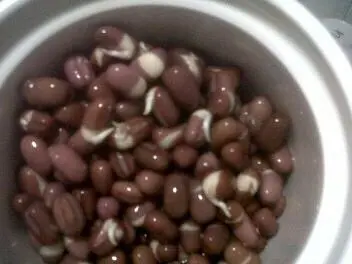红豆芽可以吃吗，红豆可以发豆芽吗?有什么营养（其实原料常见生产简单）