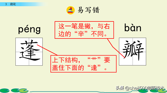 莲蓬的蓬是不是读轻声，莲蓬的蓬为什么读轻声（部编版语文三年级下册第3课《荷花》图文讲解）