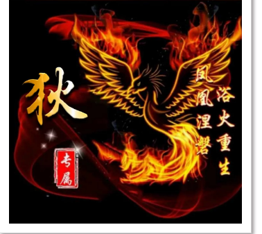 女凤凰，微信头像，女凤凰（浴火重生的微信姓氏头像送给你）