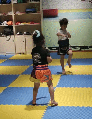 散打和自由搏击哪个更实用，自由搏击和散打哪个杀伤力大（搏击、武术、散打、跆拳道）