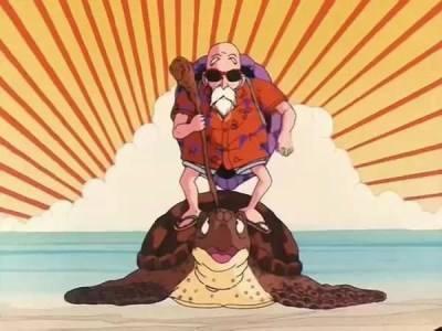 海龟是两栖动物吗，海龟是不是两栖动物（海龟历史久活得还久）