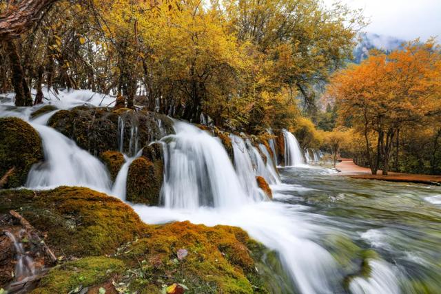 九寨沟在哪个市，九寨沟在哪里个城市（刚刚，九寨沟全域，重新开放）