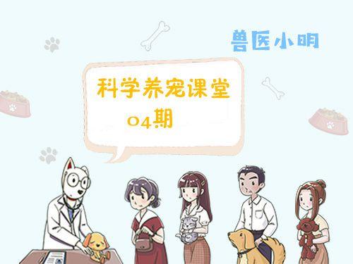狗狗便血，大便带血是怎么了，狗狗便血吃云南白药（及时治疗避免病情延误）