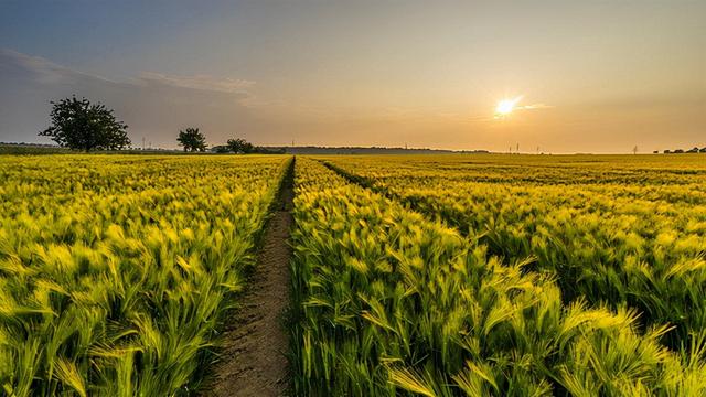 桢字在名字中的寓意，桢字在名字中的寓意女孩（10个《诗经》优雅大气的男孩名字）