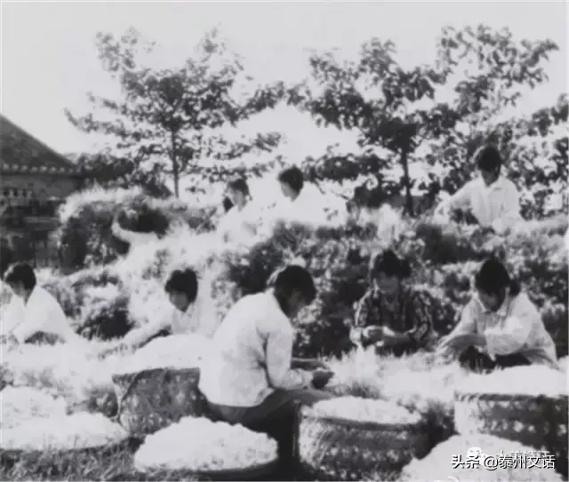 靖江汽车站(靖江拼车群)